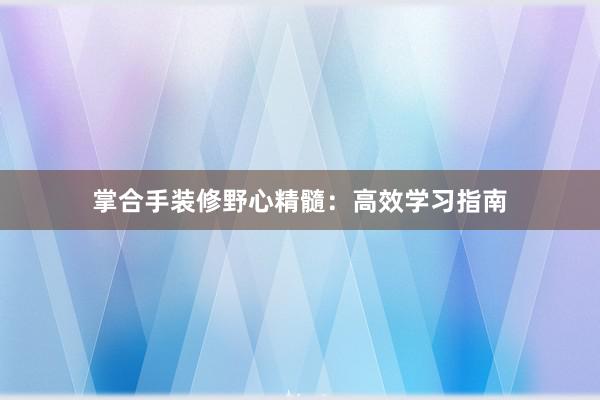 掌合手装修野心精髓：高效学习指南